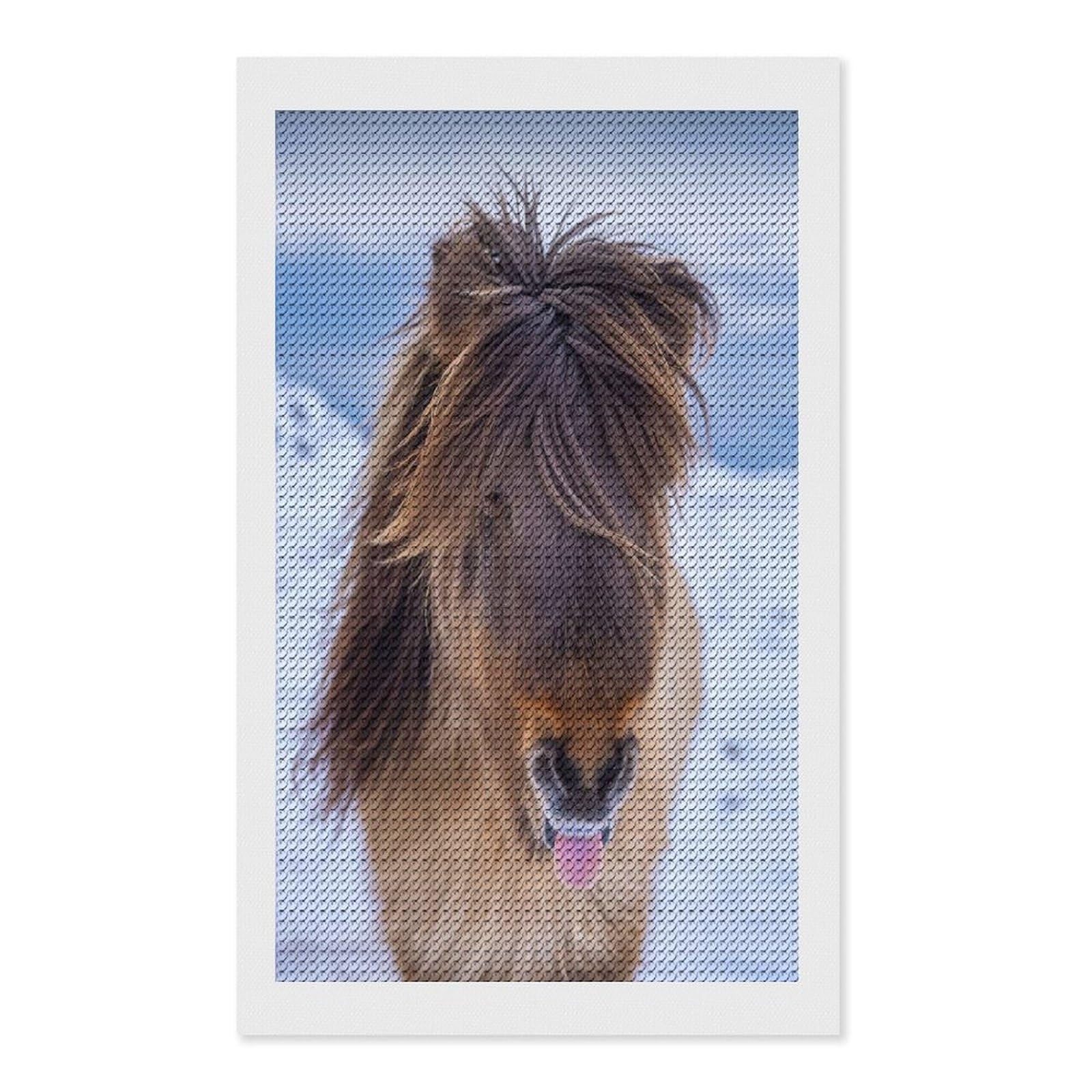 Junmoney Cute Portrait of Horse Diamond Art Kit 12"x20", Modern Decor, for Adults, Printed Canvas, Holiday Gift Idea, Fun Craft Experience