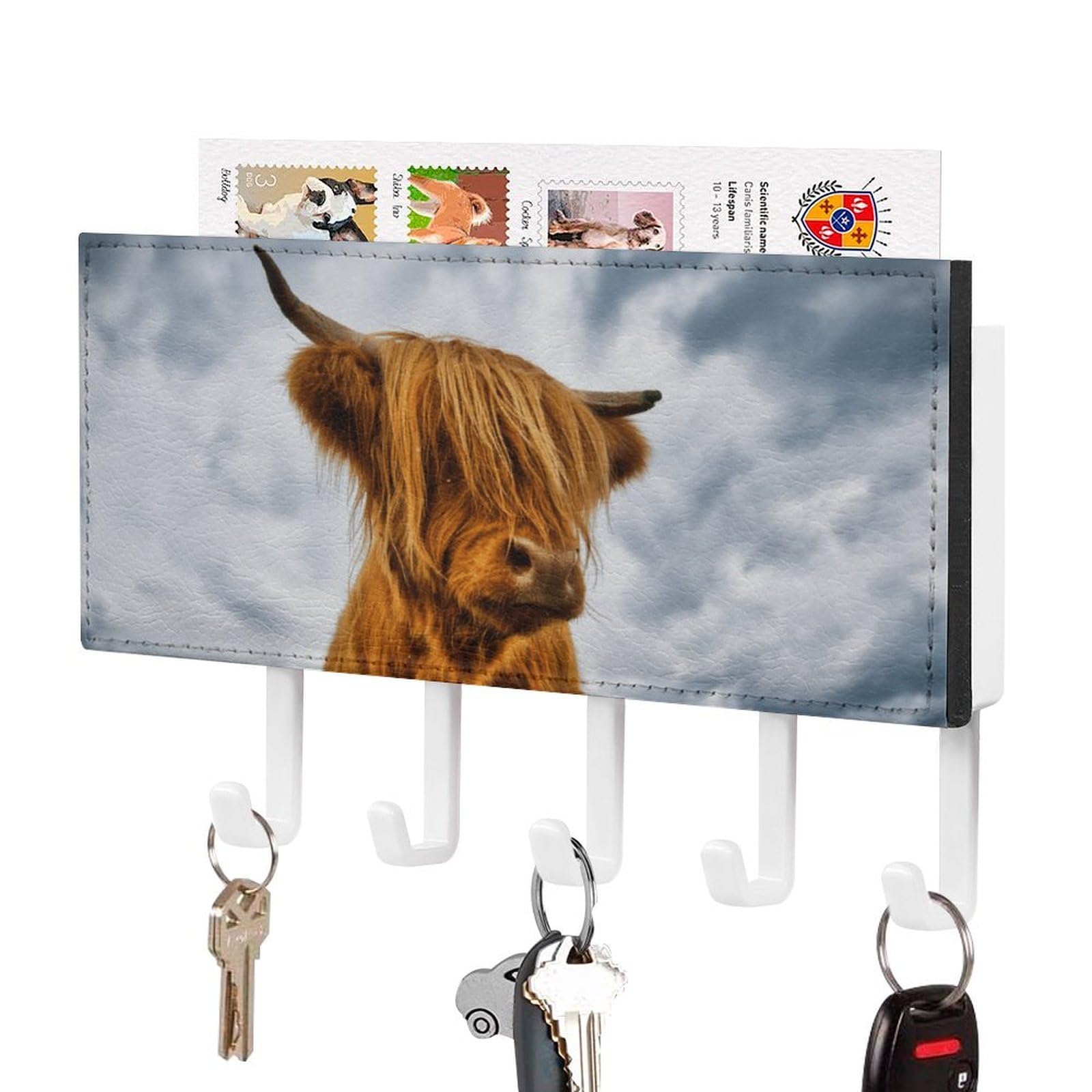 NCLQVJXZKHW Highland Cow in The Scottish Highlands Key Holder with 5 Hooks Key Hooks Wall Mounted Key Racks Key Hanger Organiser Shelf