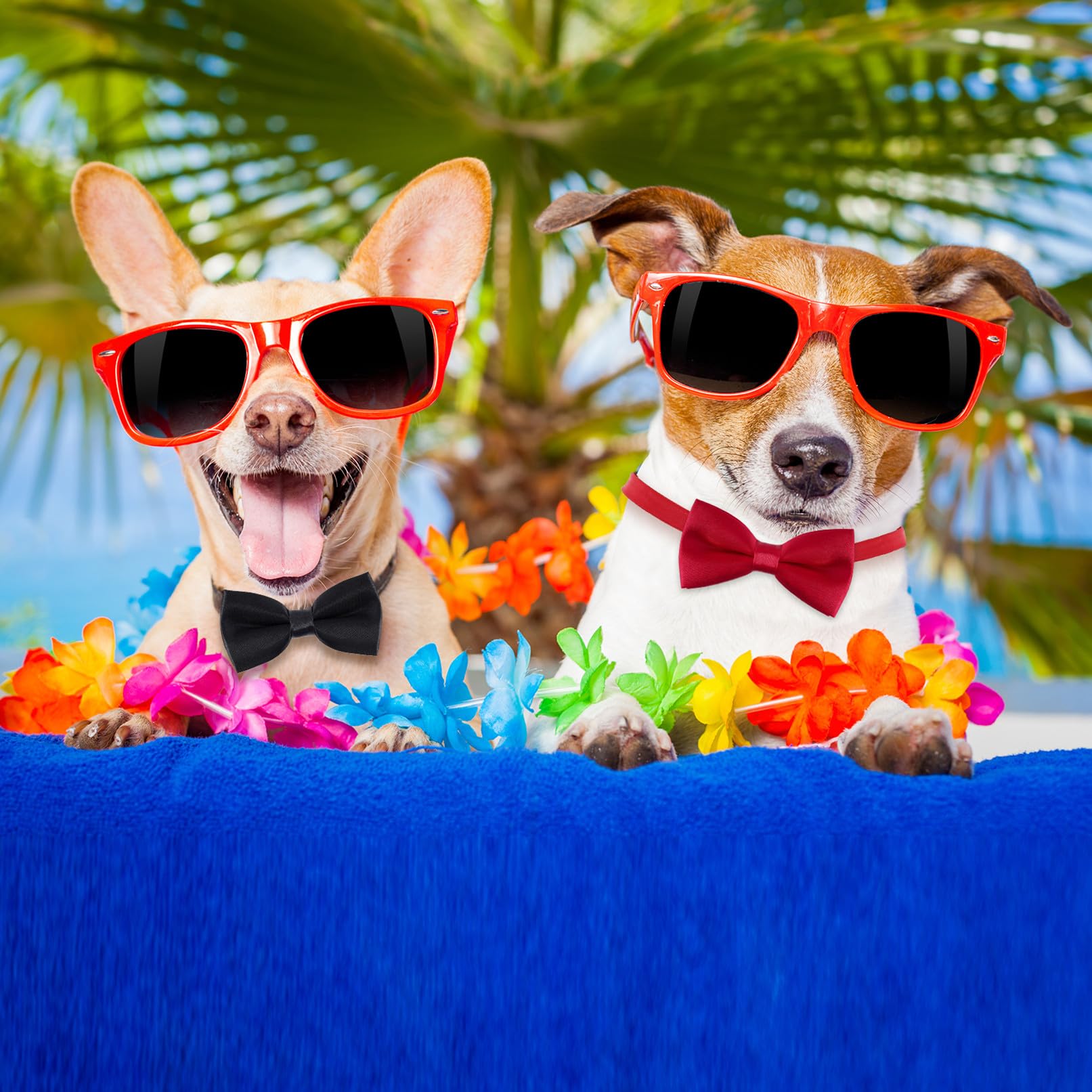 Collare per cani con papillon in velluto, per matrimoni, compleanni, feste (rosso)