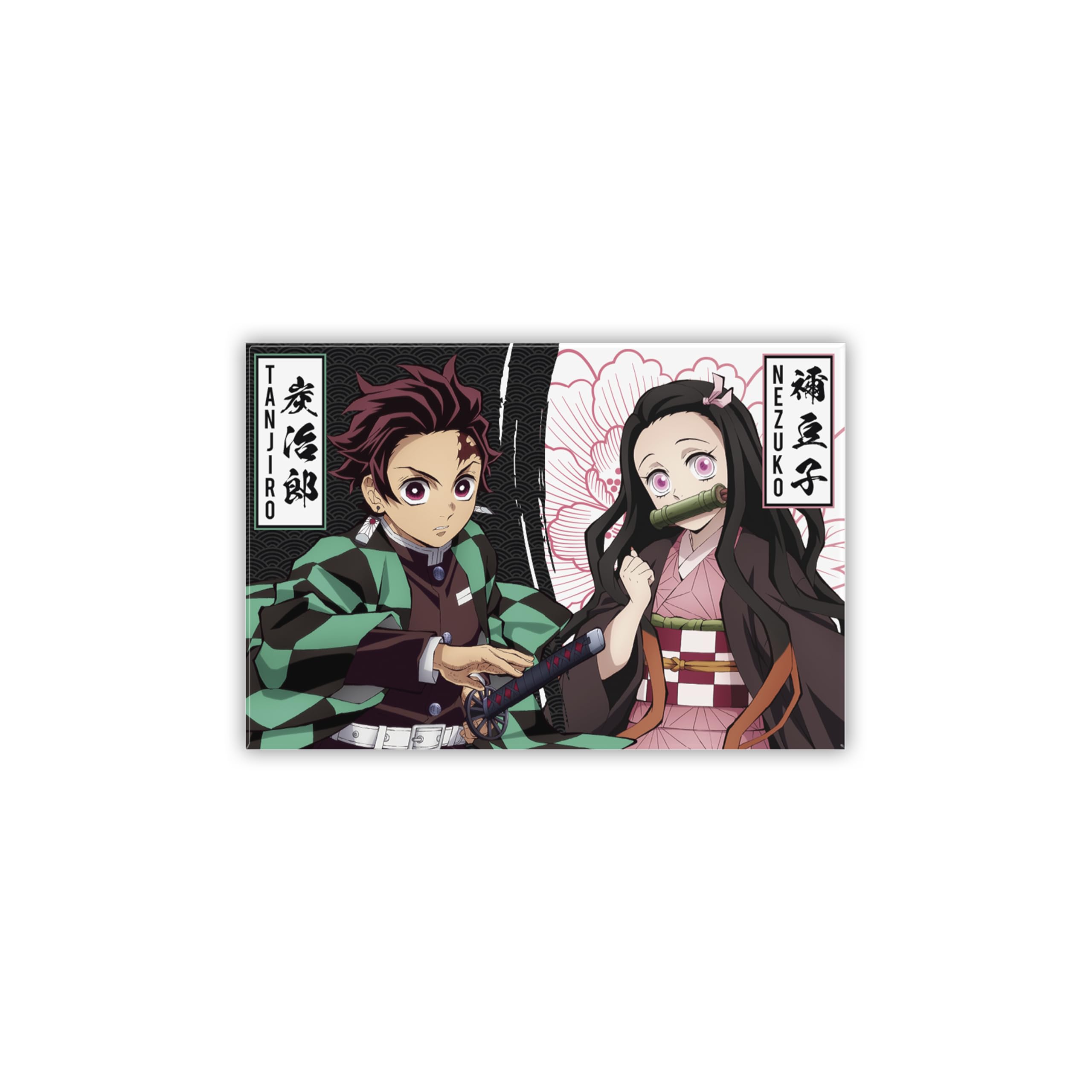 ABYstyle - Demon Slayer Magnet Standard Tanjiro & Nezuko S2