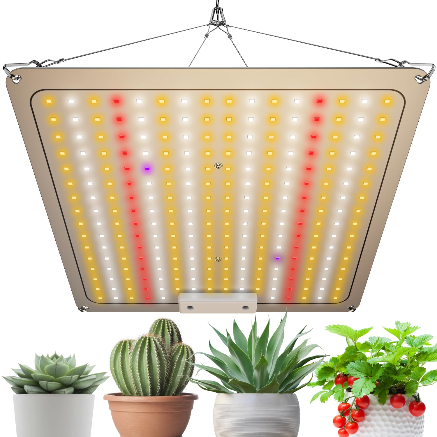 Amazon.co.jp: 植物育成ライト LED 60W パネル【放熱効率UP/ IP65防水