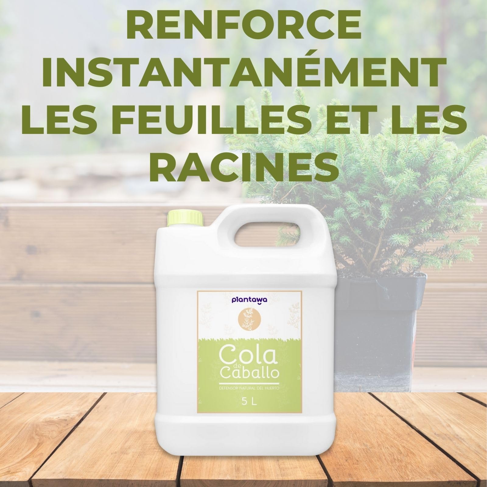 PLANTAWA Purin Prêle pour Plantes 5L | Biostimulant pour Plantes Renforcement des Plantes avec de la Silice et du Calcium | Lutte contre les Parasites et Champignons | Fongicide | 100% naturel