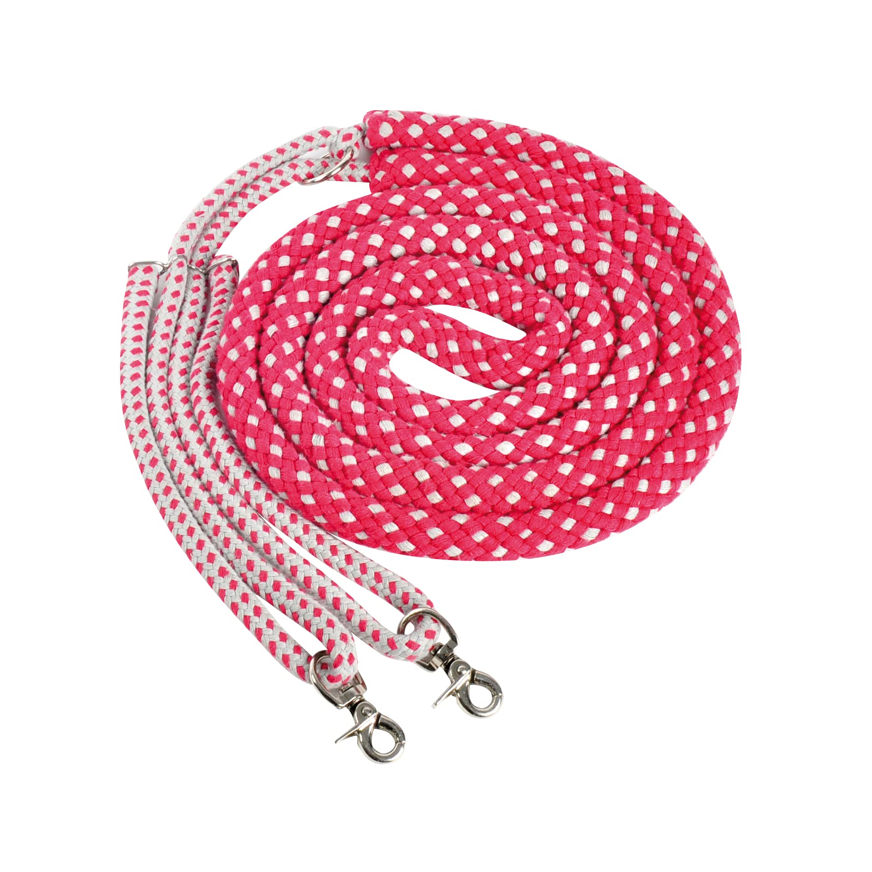 CBL Lunging Aid