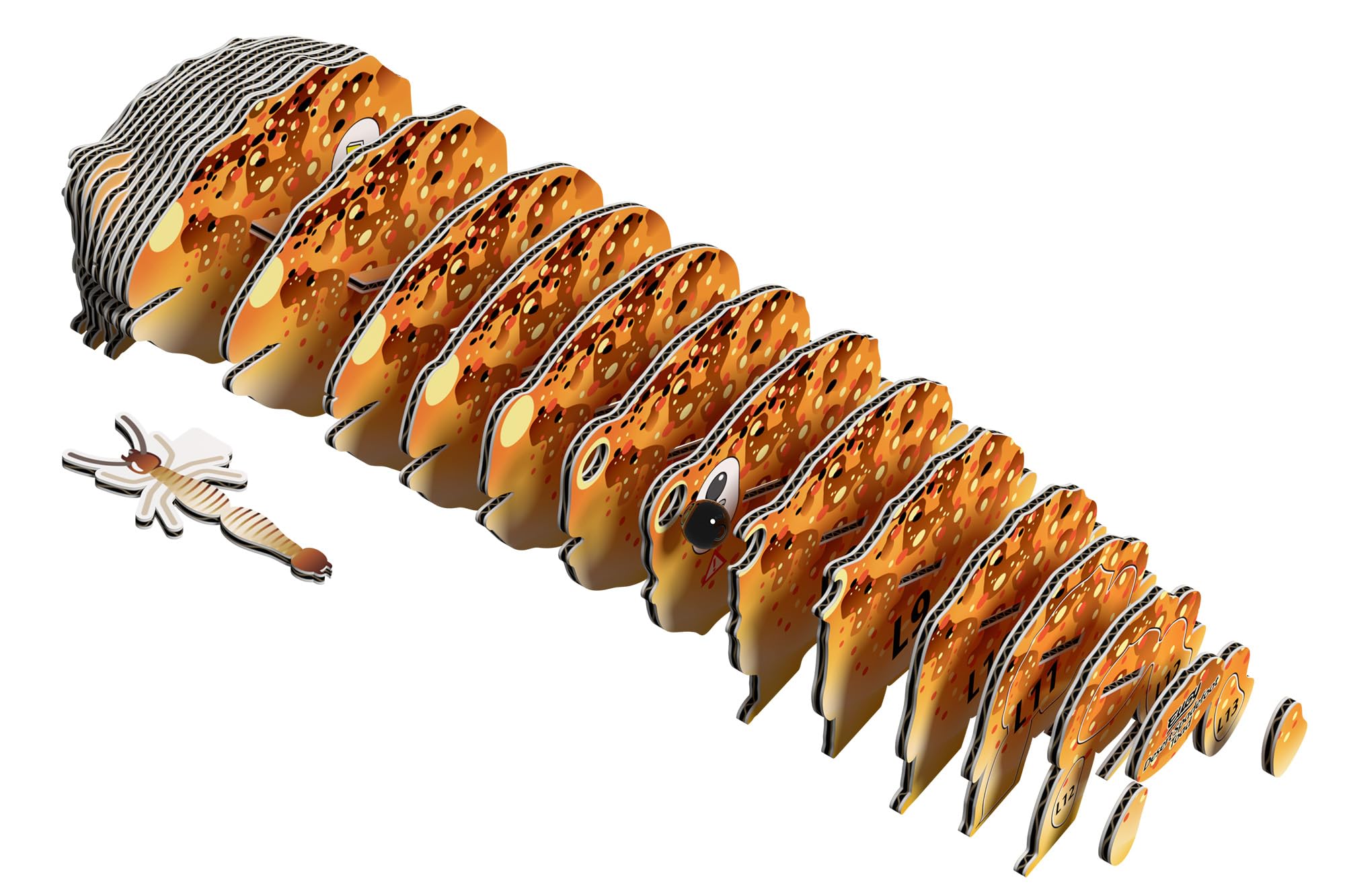 EUGY Desert Spadefoot Toad 3D Model Craft Kit, 5.7 x 4.8 x 4.1 cm - Image 3