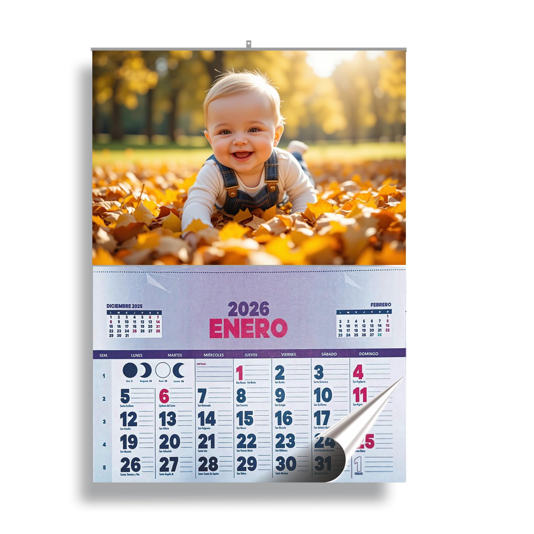 Calendario de pared personalizado 2026 – Lámina con tu fotografía o diseño y faldilla de 12 meses con espacio para notas (5 unidades (6€ unidad))