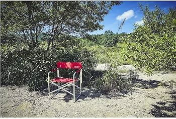 Amazon.co.jp: Coleman 120th Anniversary Captain Chair, Red