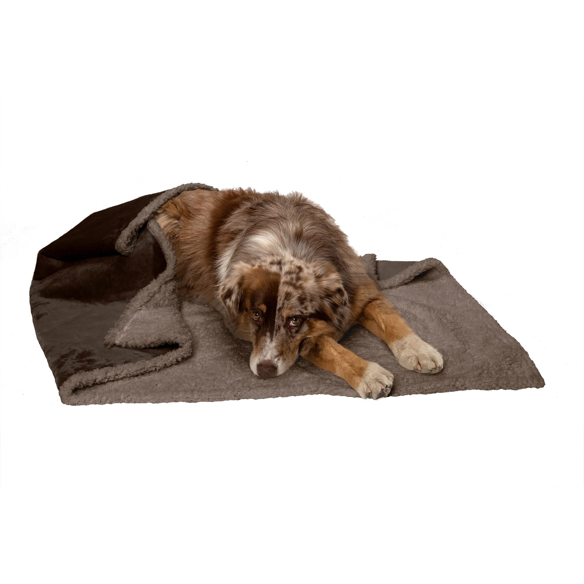 Furhaven Waterproof &amp; Self-Warming Throw Blanket for Dogs &amp; Indoor Cats, Washable &amp; Reflects Body Heat - Soft-Edged Terry &amp; Sherpa Dog Blanket - Espresso, Large