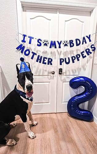 Vista 504 de Globo número 2 de 40 pulgadas, para decoración de cumpleaños y graduaciones, para niños y niñas (color verde claro)