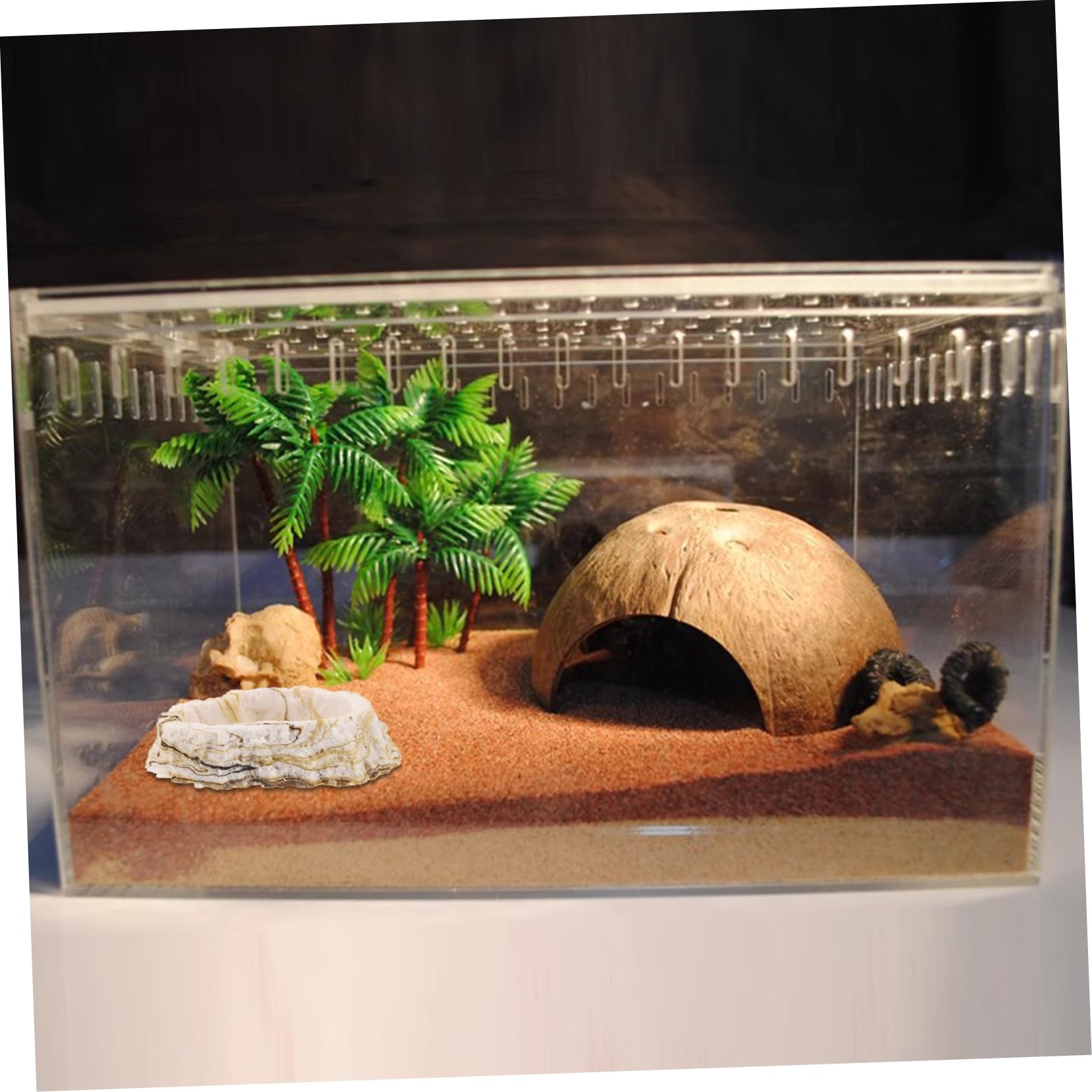 Toddmomy 5piezas Tazón De Alimentación y Agua para Reptiles Plato De Resina para Terrario Diseño Estable y Duradero para Comida y Bebida De Mascotas Reptiles Accesorio De Terrario para