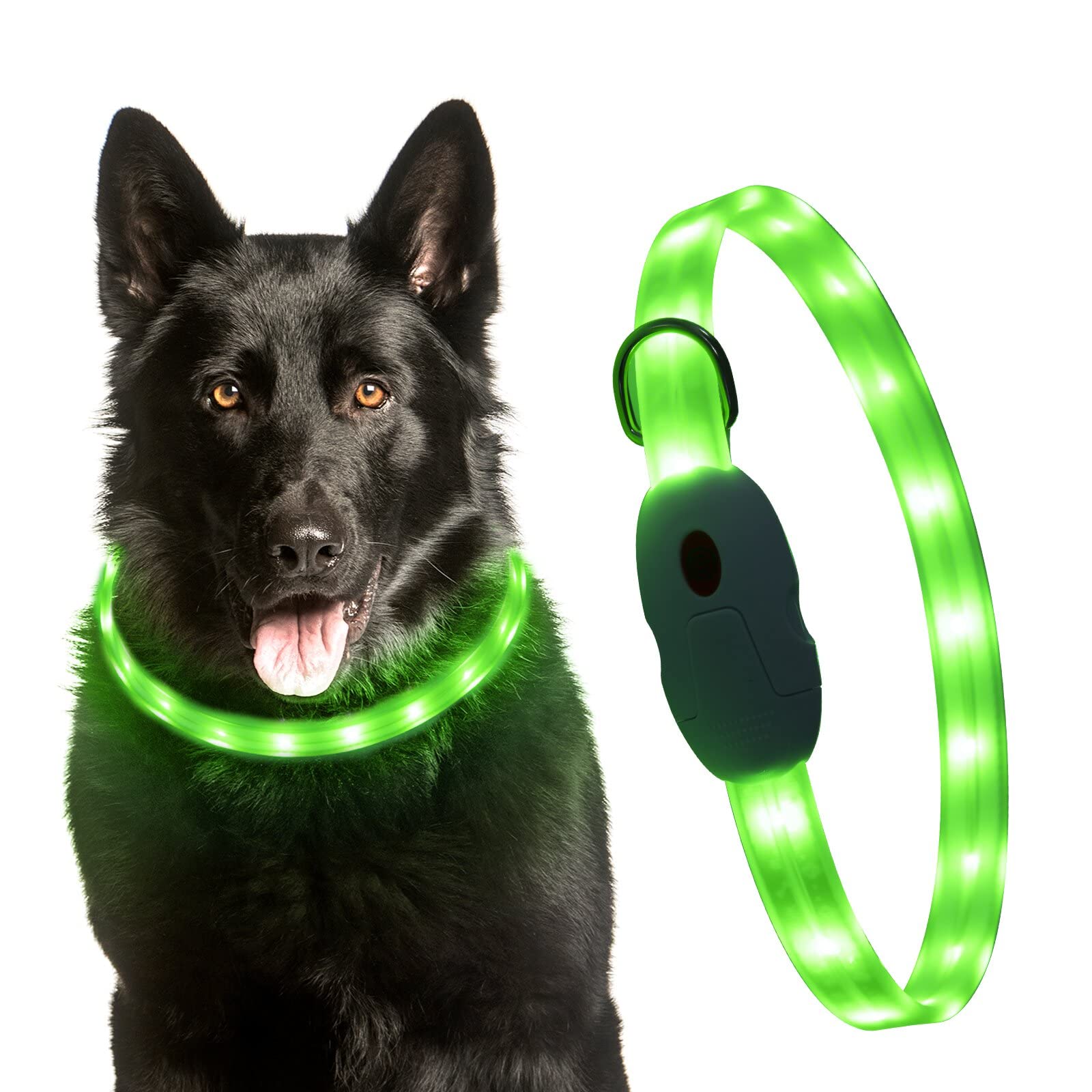 Are Black Lights Safe For Dogs