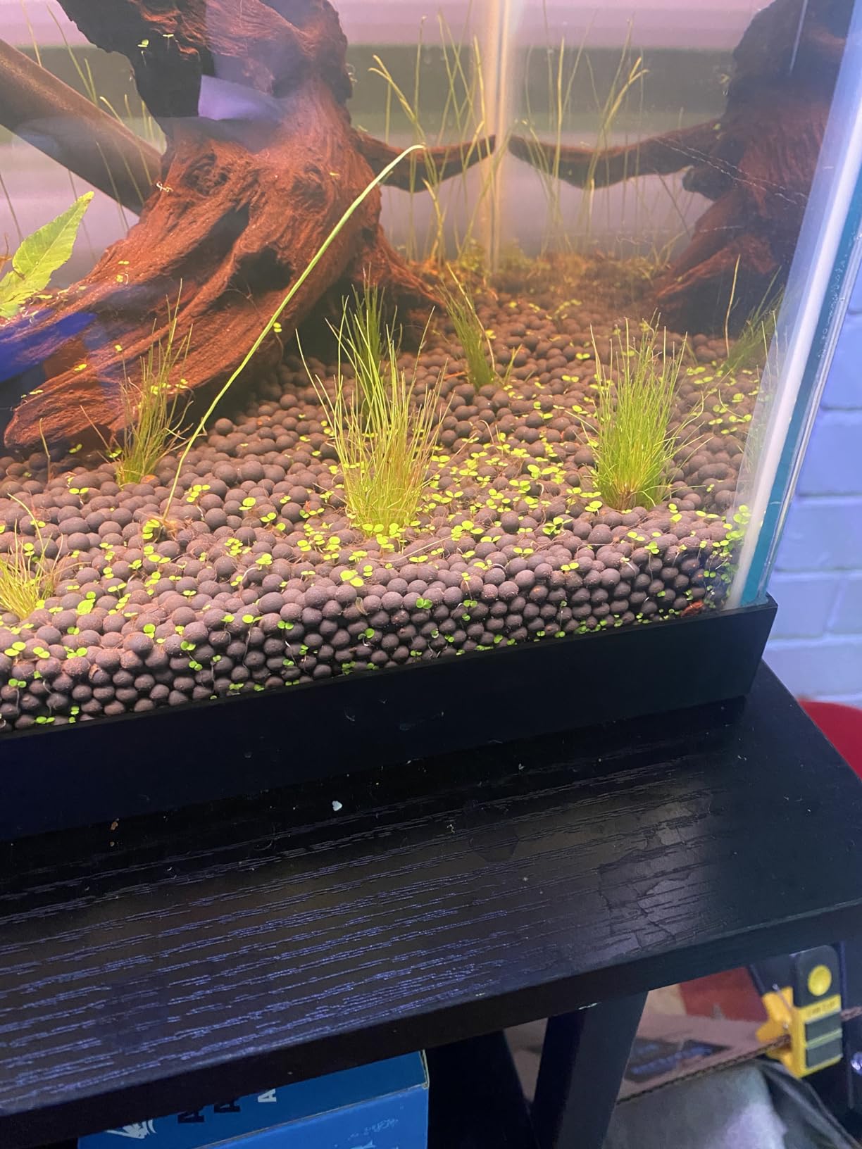 Customer Image