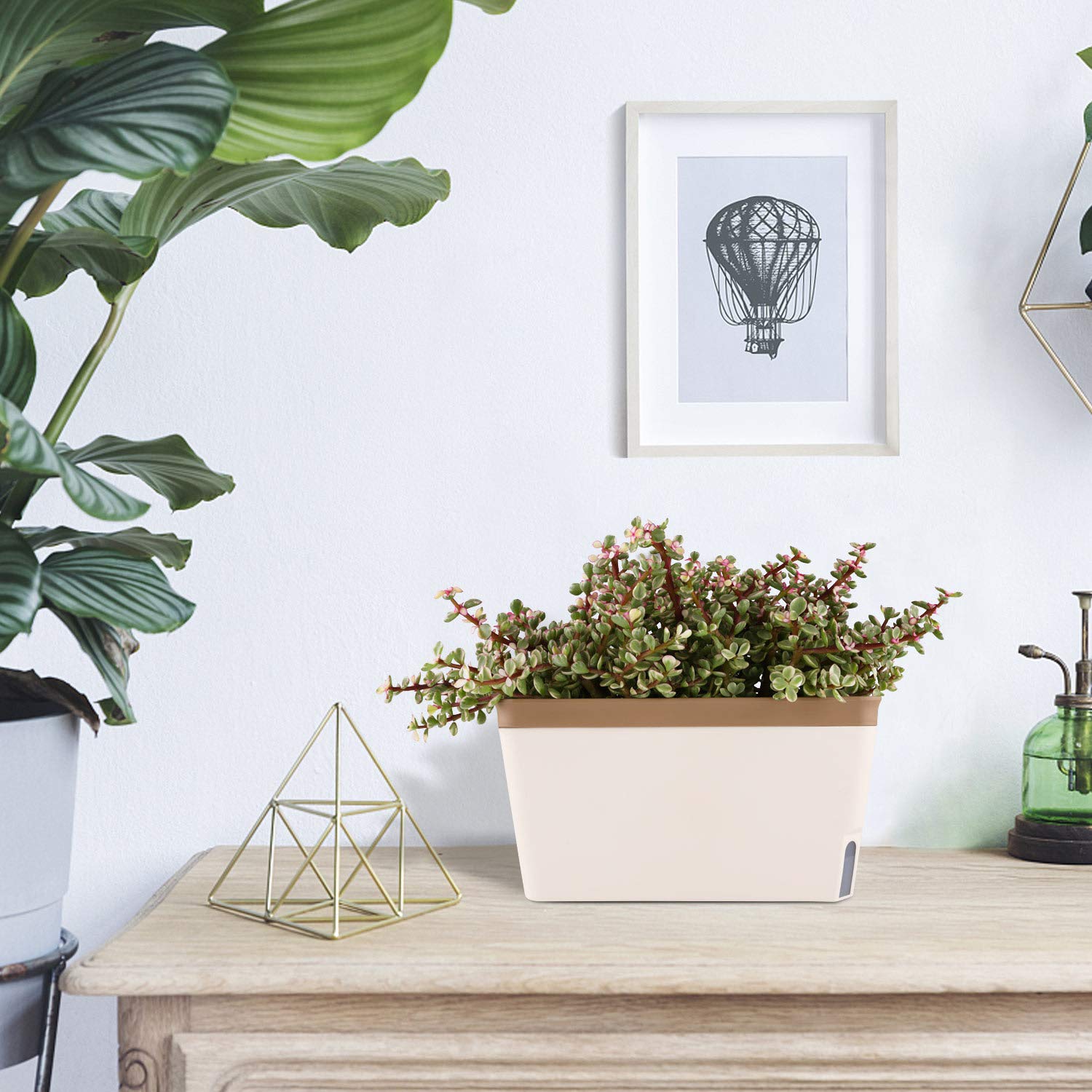 T4u Maceta autorriego Rectangular 27 cm, Set 3, maceteros Decorativos Interior, Plantas pequeñas hogar Oficina, riego reducido, Uso práctico, no Apto Vegetales Grandes sensibles Humedad