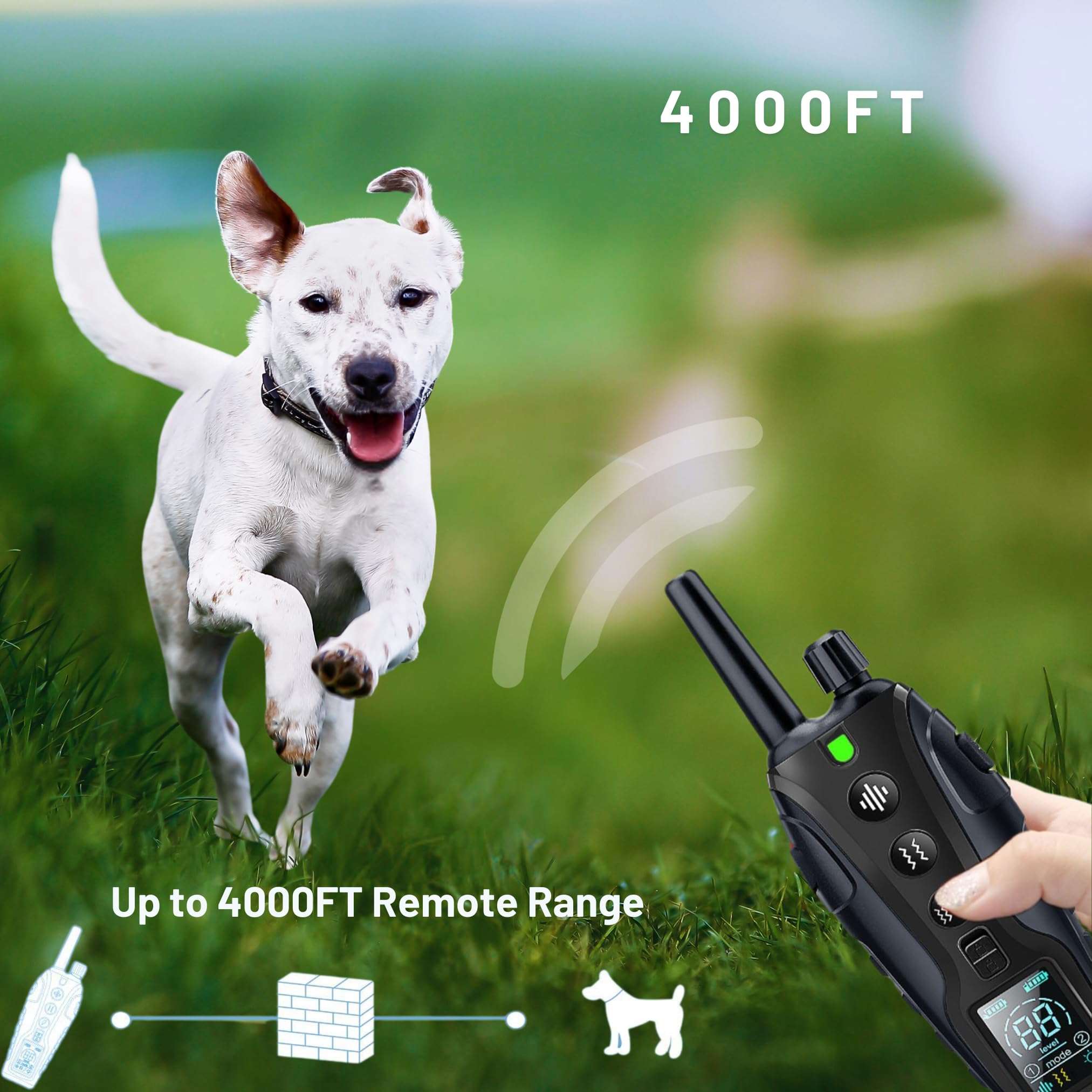BotDynasty Humane Anti Bark Collar for Dogs, No Shock, Adjustable Sound & Vibration, Short-Session Training, Waterproof - Image 4