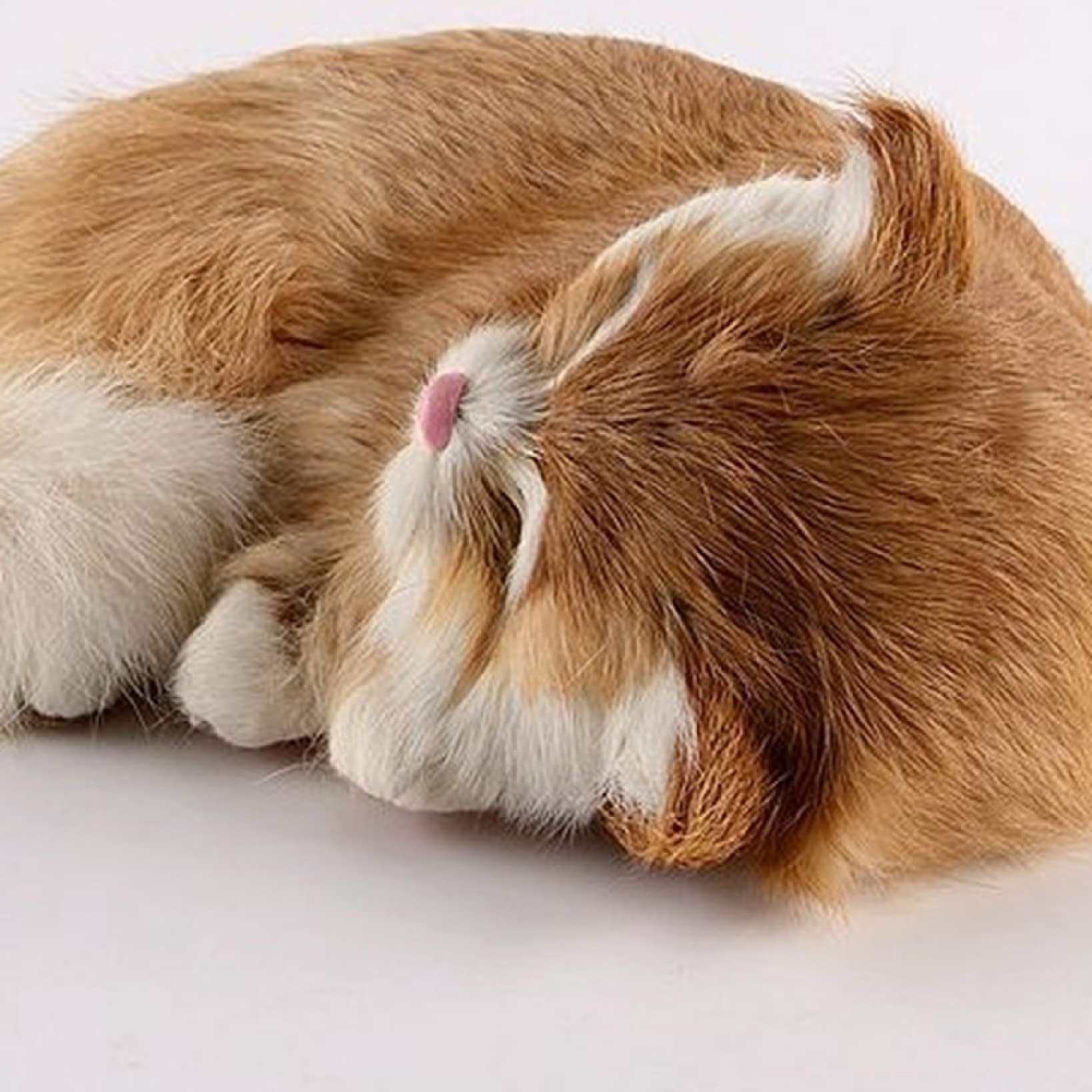 Amazon.co.jp: 猫 置物 リアルぬいぐるみ かわいい 本物そっくり 眠り 