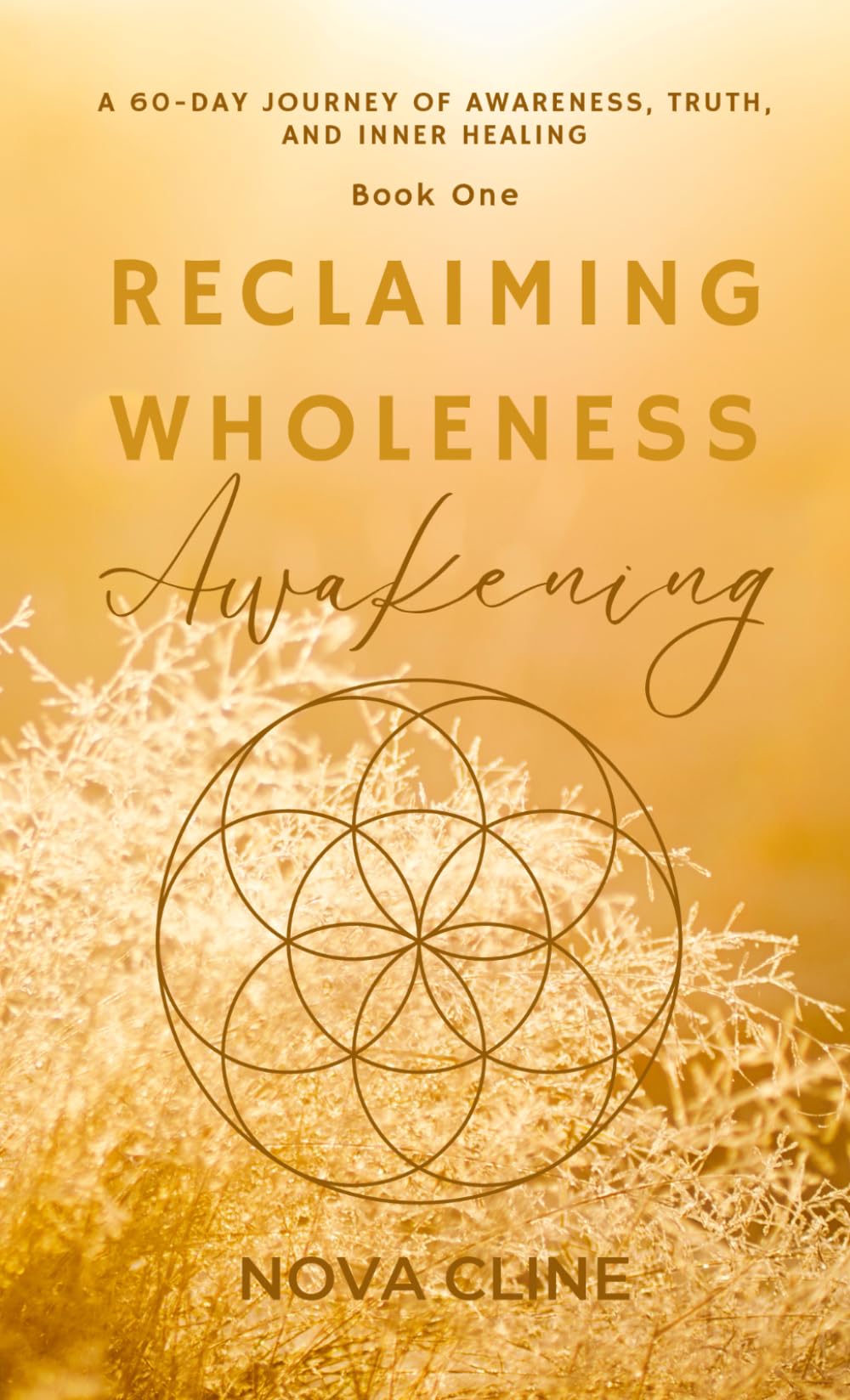 Reclaiming Wholeness: Awakening: A 60-Day Journey of Awareness, Truth, and Inner Healing (Reclaiming Wholeness: Book One)