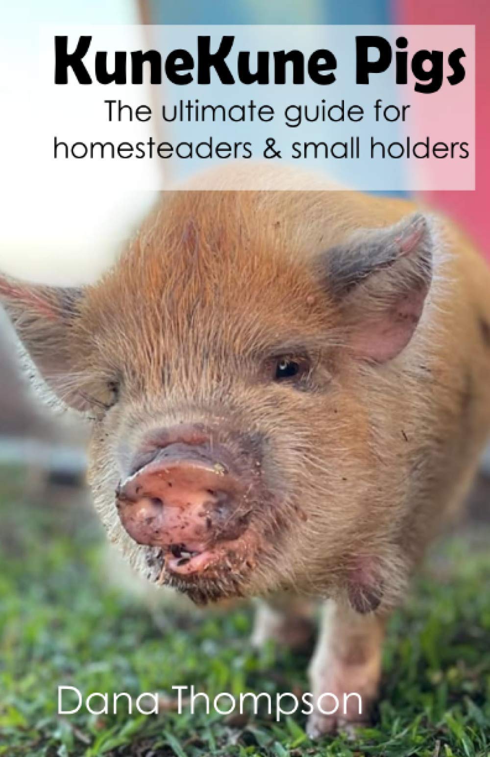Kunekune Pigs: The ultimate guide for homesteaders and smallholders