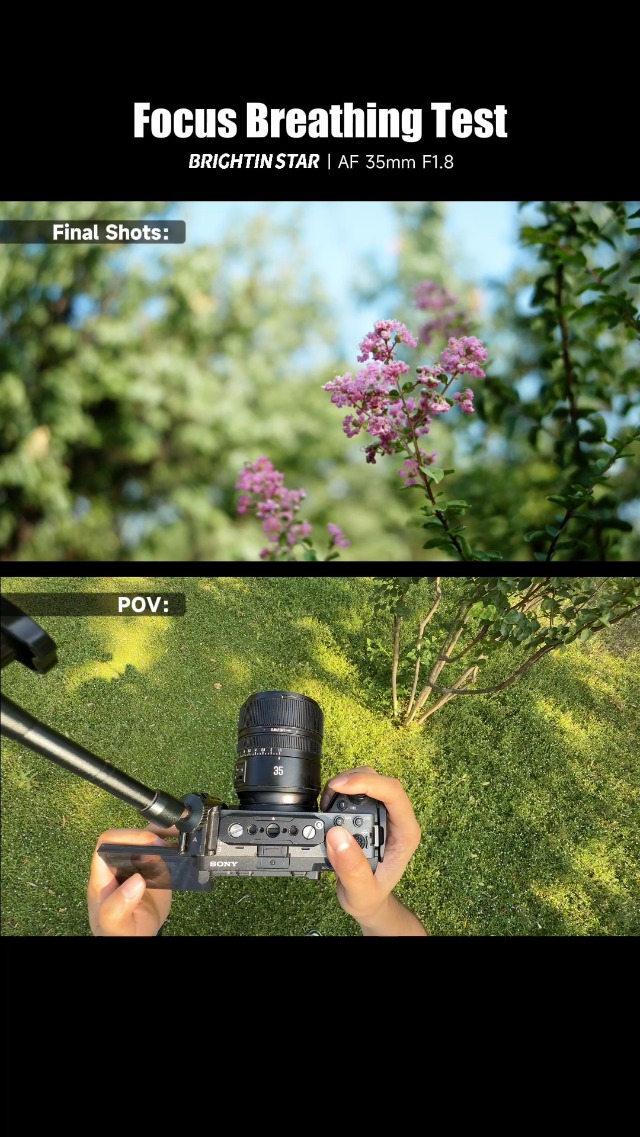 Amazon.co.jp: Brightin Star AF 35mm F1.8 標準レンズ フルサイズ 大
