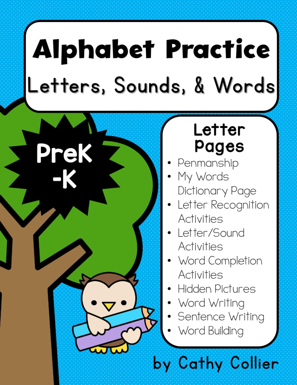 Alphabet Practice: Letters, Sounds, and Words for Pre-K and K: Alphabet Activities, Letter Identification, Letter Recognition, Letter Sound Relationships, Alphabet Sentence Writing, Handwriting
