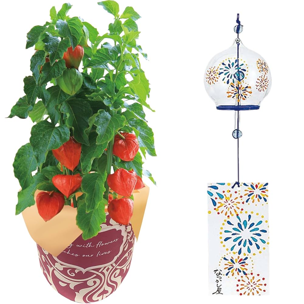 手描きのお花が可愛い大きな火鉢 手描きのお花が可愛い大きな火鉢 手描きのお花が可愛い大きな