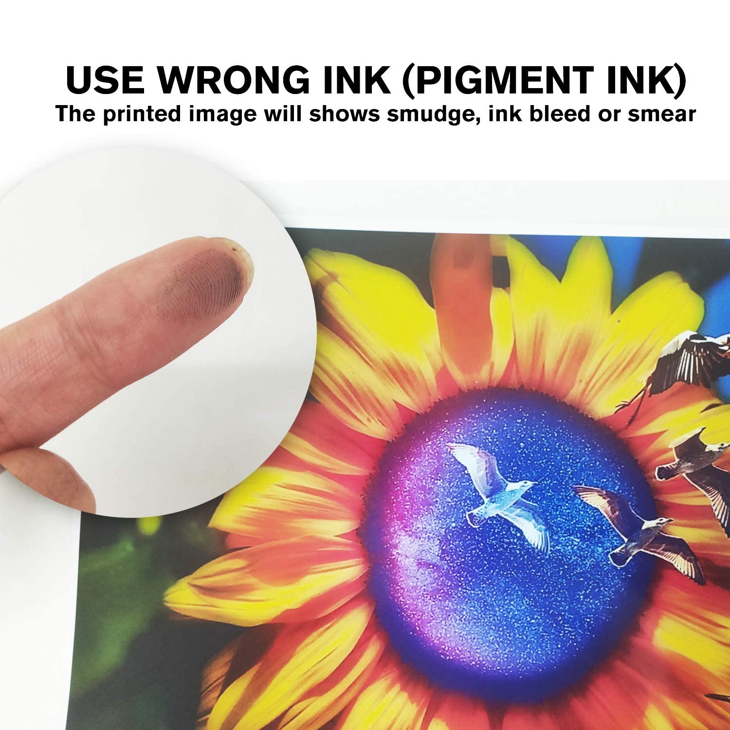 KOALA Glossy papel fotográfico | Papel de cartulina pesado compatible con impresora de inyección de tinta y tinta de tinta, 260 g/m²