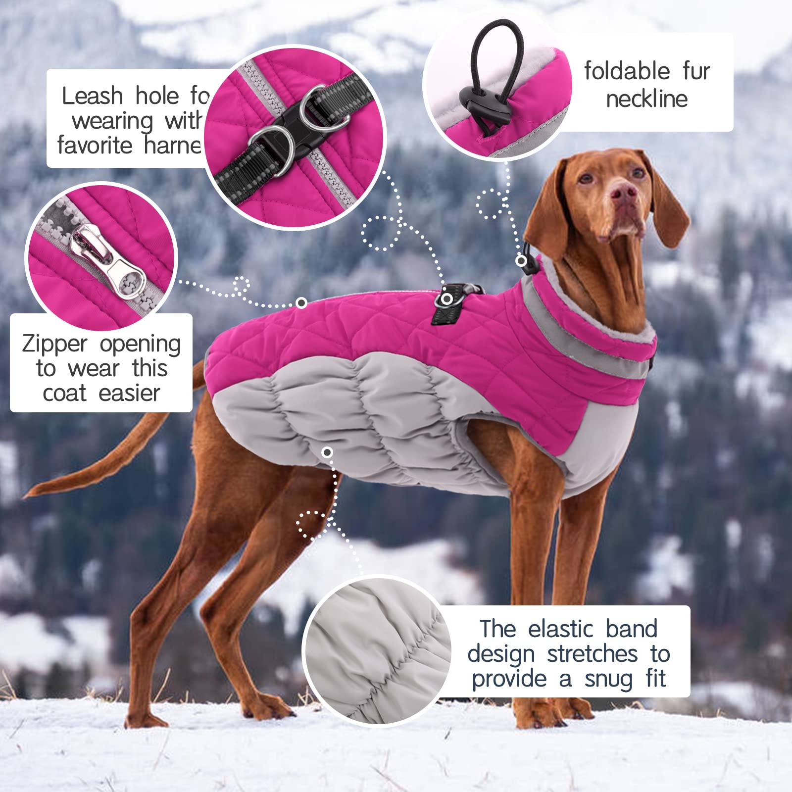 Kuoser Hundejacke Hundemantel für Kleine Hunde Winterweste, Wasserdicht Hunde Wintermantel Jacke Winter Hunde Mantel Mit Geschirr Warme Winterjacke Hundepullover Haustier Skifahren Kostüm Rosa, XS - 3