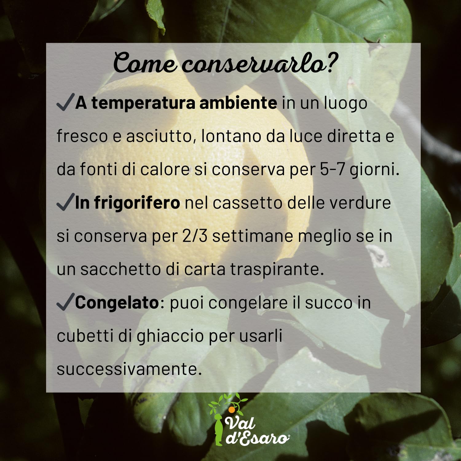 Bergamotto Fresco di Reggio Calabria - Agrume fresco 100% Naturale - Buccia edibile non trattata- Val D'Esaro (Box da 15 Kg)