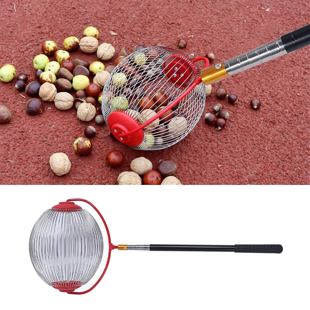 Recolector de Nueces y Bellotas Rodillo de Acero Talla L | Cesta de Alambre de Acero Bellotas con Rodillo de Eficiencia Recogedor Portátil de Talla Grande L para Trabajo de Jardinería