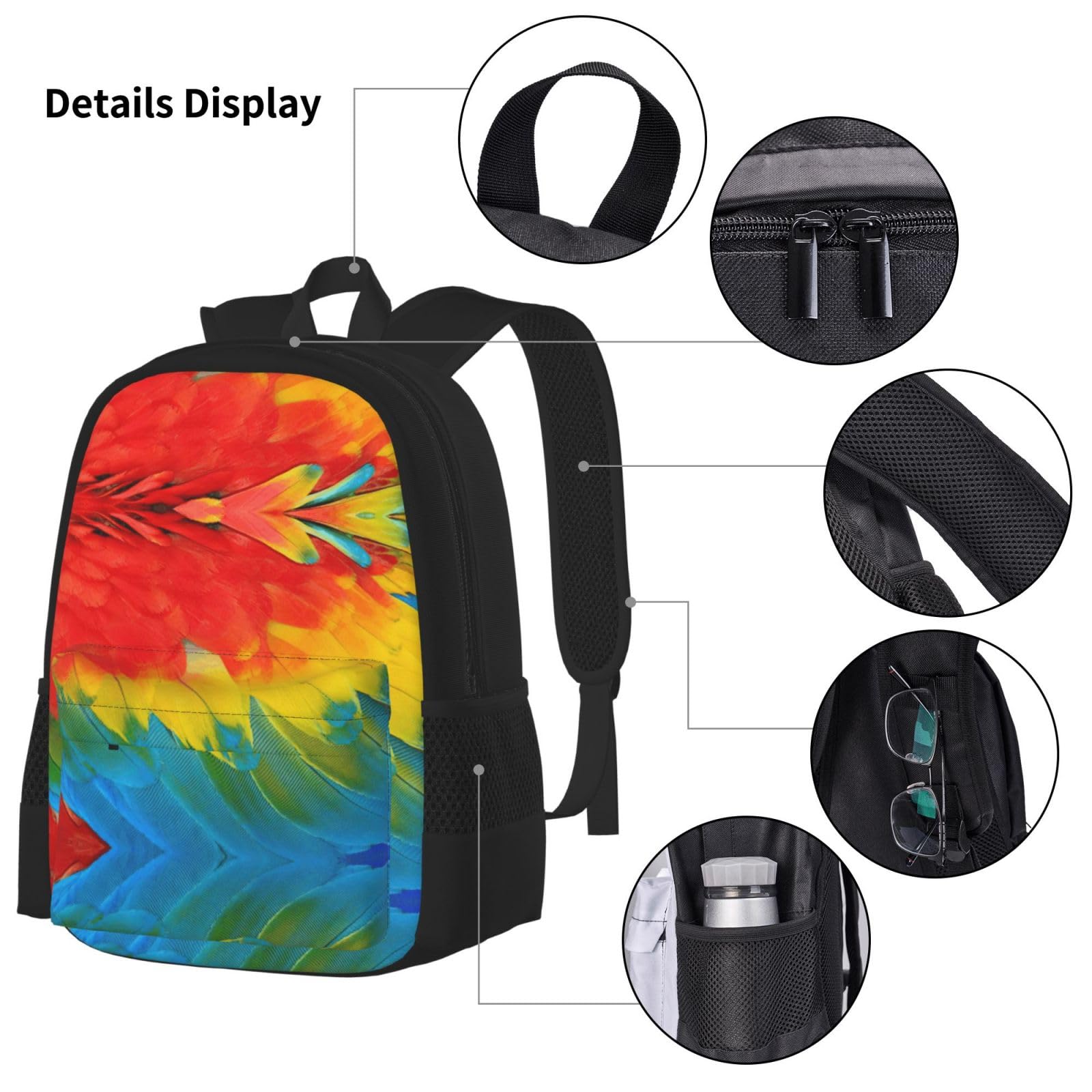 Juego de 3 mochilas escolares con estampado de plumas de loro, gran capacidad, resistente al agua, con bolsa de almuerzo aislada y estuche para lápices, para adolescentes de secundaria