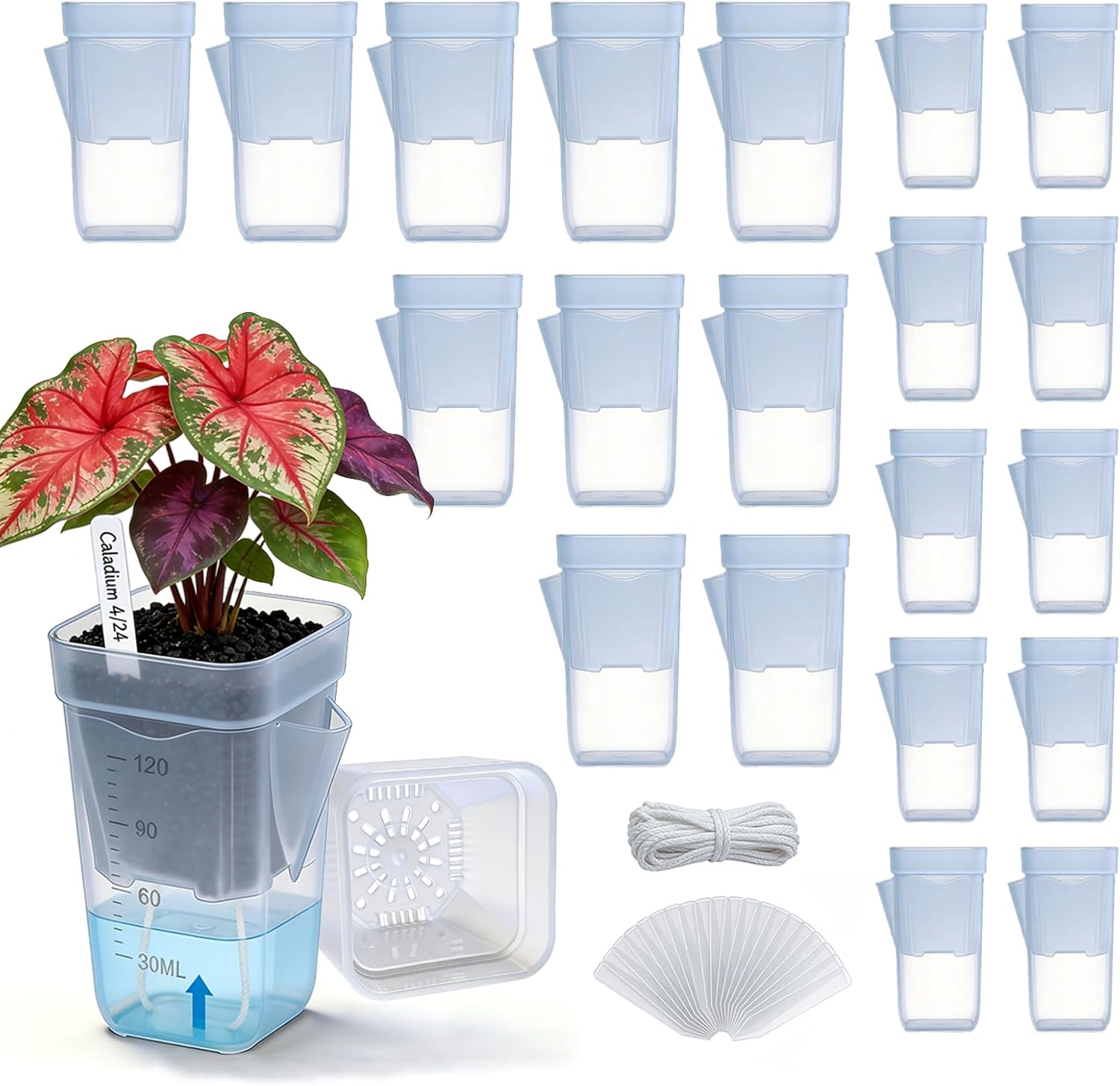 20 Pack 2/2.5 Inch Small Self Watering Pots for Indoor Plants, Mini Clear Plastic Nursery Pots with Water Level Indicator & Drainage Holes, for Seedling Propagation, Succulents, 20 Plant Labels
