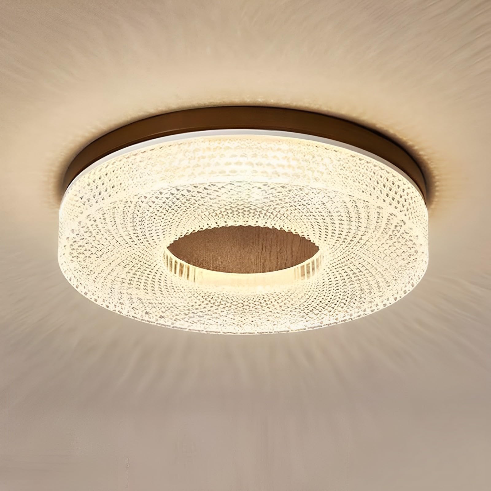 SXDMOUBK Retro Round Ceiling Light Low Profile Ceiling Light Fixtures Modern LED Ceiling Light Flush Mount Ceiling Lights For Bedroom Living Room Hallway Entrance