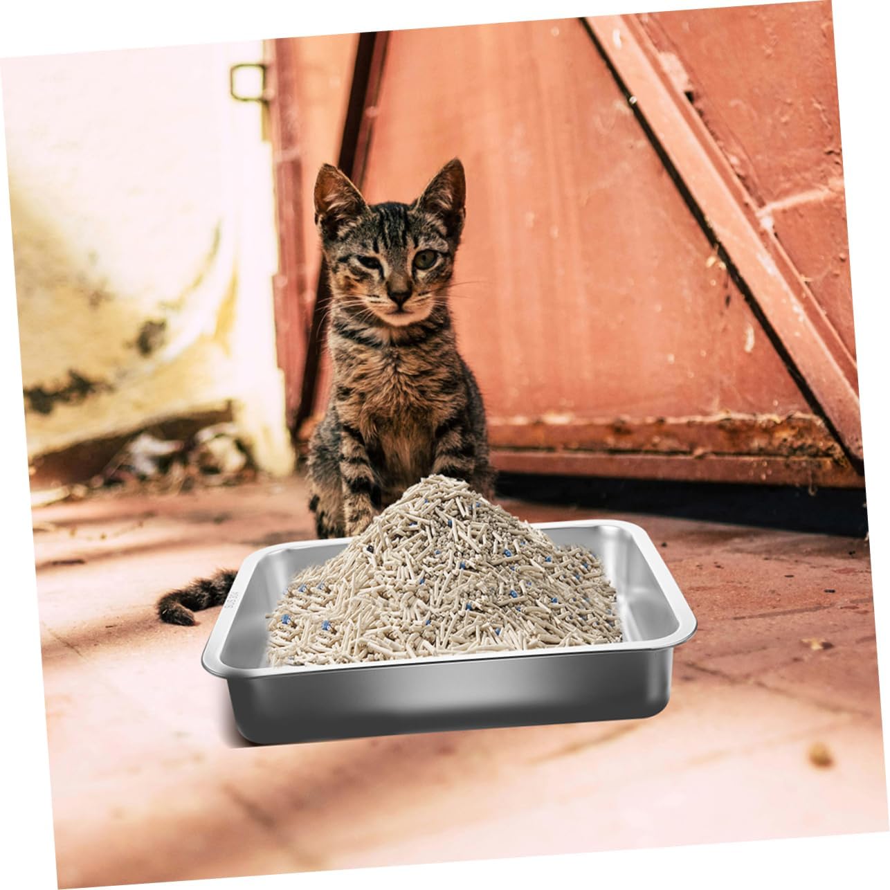 UPKOCH Stainless Steel Cat Litter Box Lid Open Design for Kittens and Cats Easy to Construction Space-Saving Pet Waste