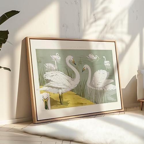 Miniatura 347 de Poster Master Póster vintage de flamenco americano, estampado retro de flamenco rosa, arte de pájaro, regalo para él, ella, amante de los animales,