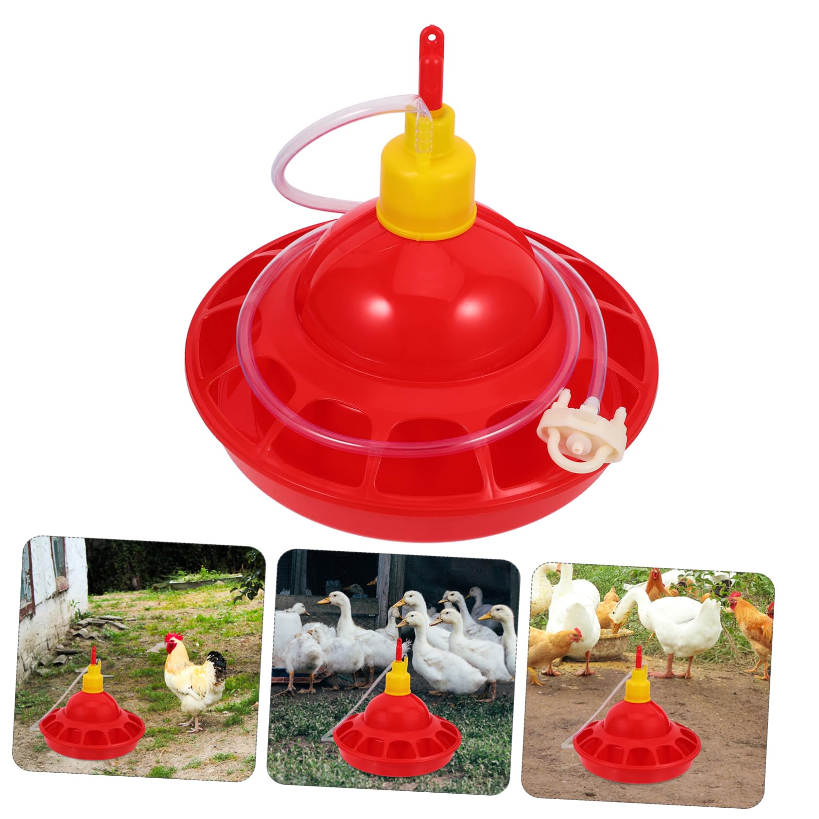 Toyvian Abbeveratoio Automatico per Pollame e Pappagalli in Pp Rosso Design Unico, Materiale Stabile e Facile da Pulire, per Negozi di Animali e Zoo