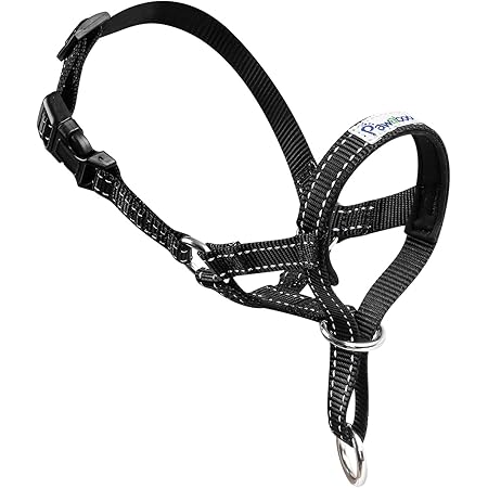 head halter muzzle