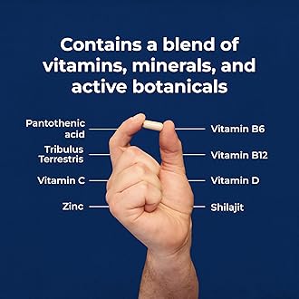 Health & Him Andropause 40+ Supplements for Men - with Zinc, Shilajit & Ashwagandha - Vegan, Gluten-Free. Mens Multivitamin - 2 Months Supply of 60 Capsules