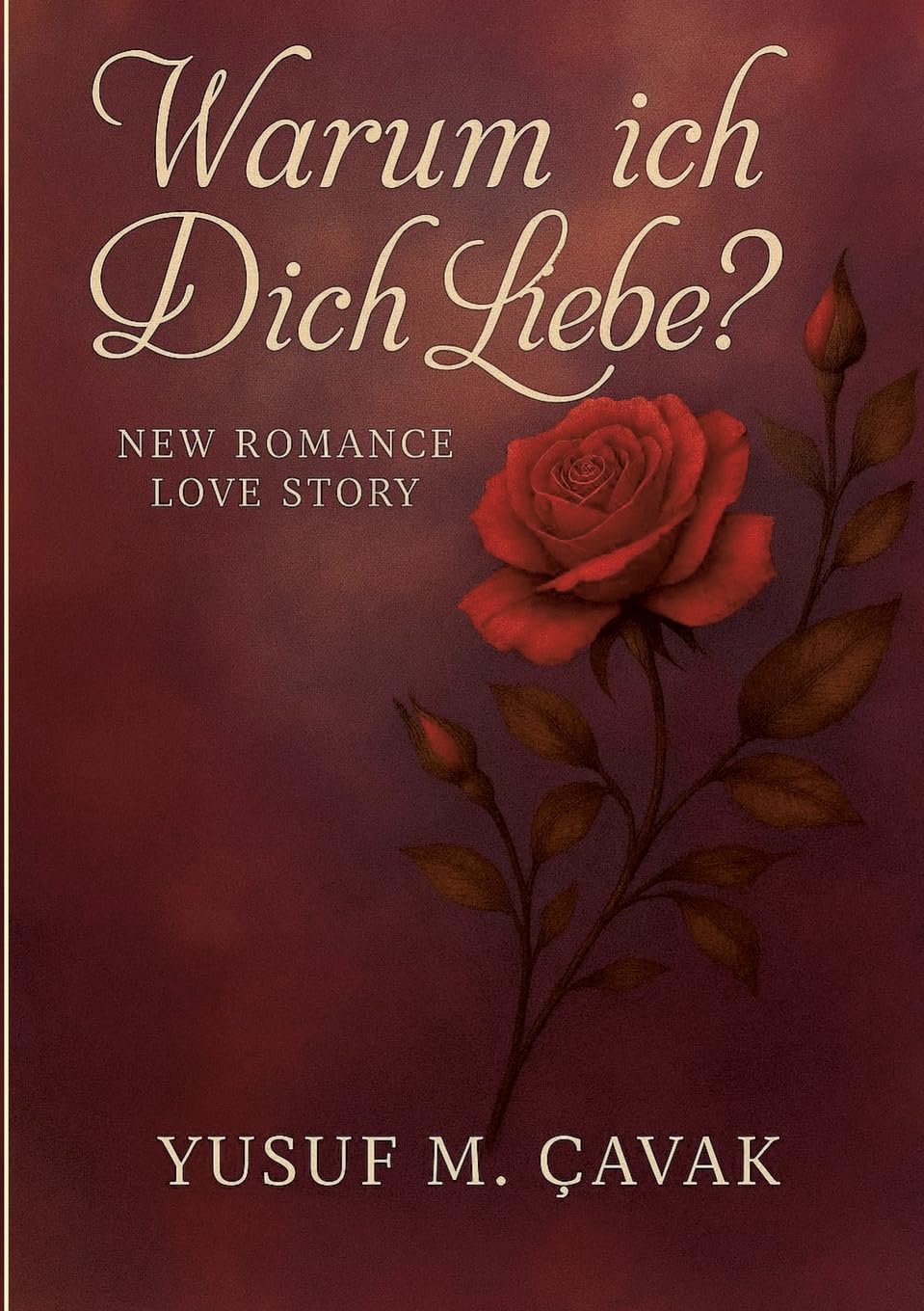 Warum ich Dich Liebe?: New Romance-Love-Story