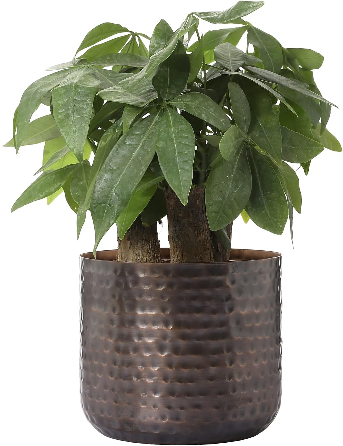 MyGift 6 Inch Vintage Copper Tone Metal Vase, Flower Pot with Hammered Texture, Cylindrical Indoor Succulent Plant Container - Handcrafted in India