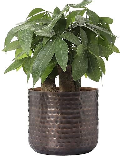 MyGift Jarrón de metal vintage de tono cobre de 6 pulgadas, maceta con textura martillada, contenedor cilíndrico para plantas suculentas de