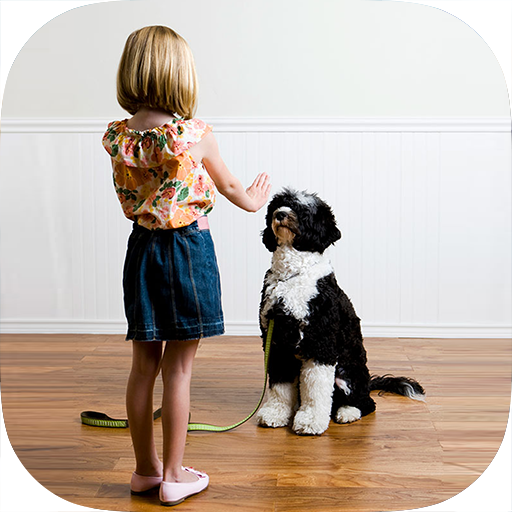 Which Dog Is Best For Beginners