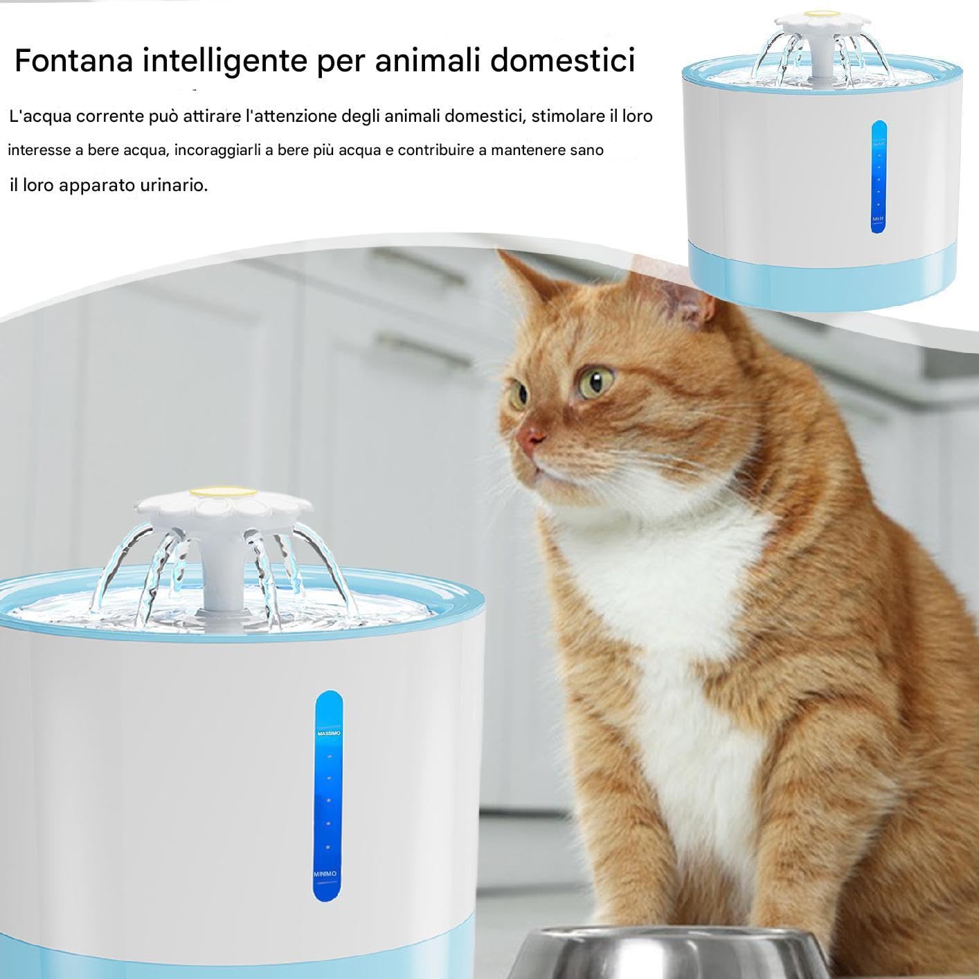 Dispensador de agua para perros Recargable