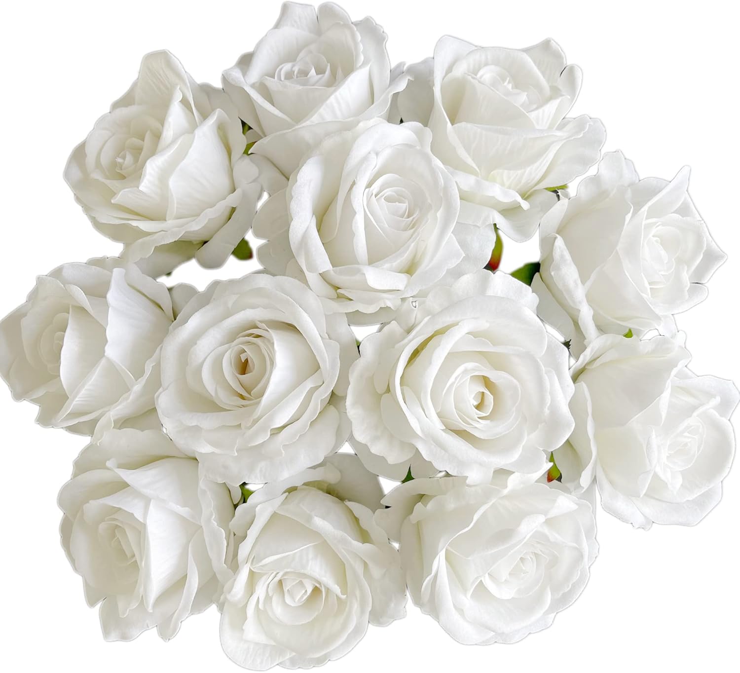 UKELER Artificial White Rose Flowers 12 Pcs Blossom Rose Flowers Real Touch Silk Faux Roses with Stem Rose Bouquets for Home Decoration Wedding Party Garden Floral Roses Decor - Image 3