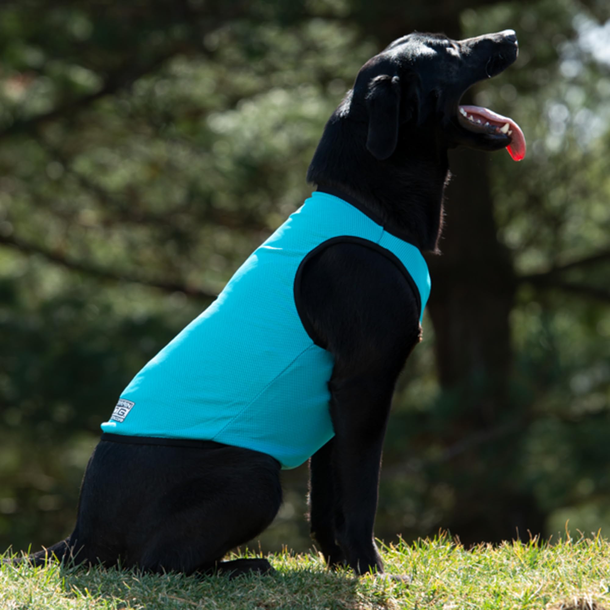 Terrain Gilet de Refroidissement pour Chien – Tissu rafraîchissant alimenté par la Technologie Coolcore