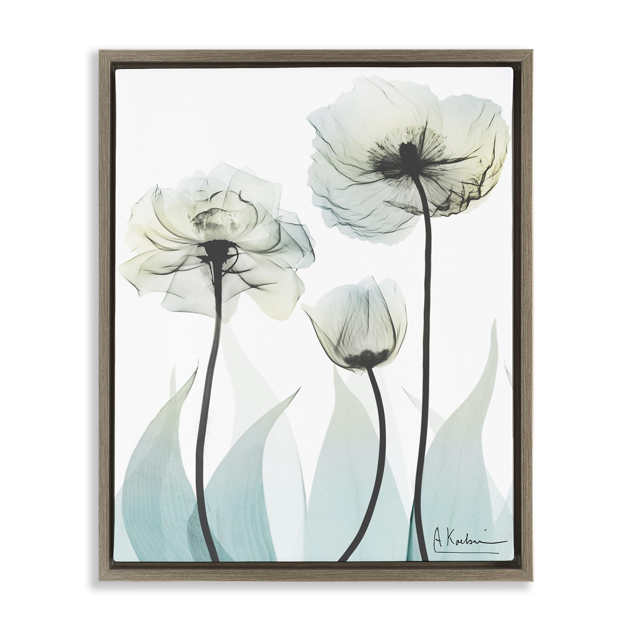 Stupell Industries Montalcino Elm (Textured) Ethereal Floral Botanical Elegance, 16 X 20 Inch Canvas In Floater Frame