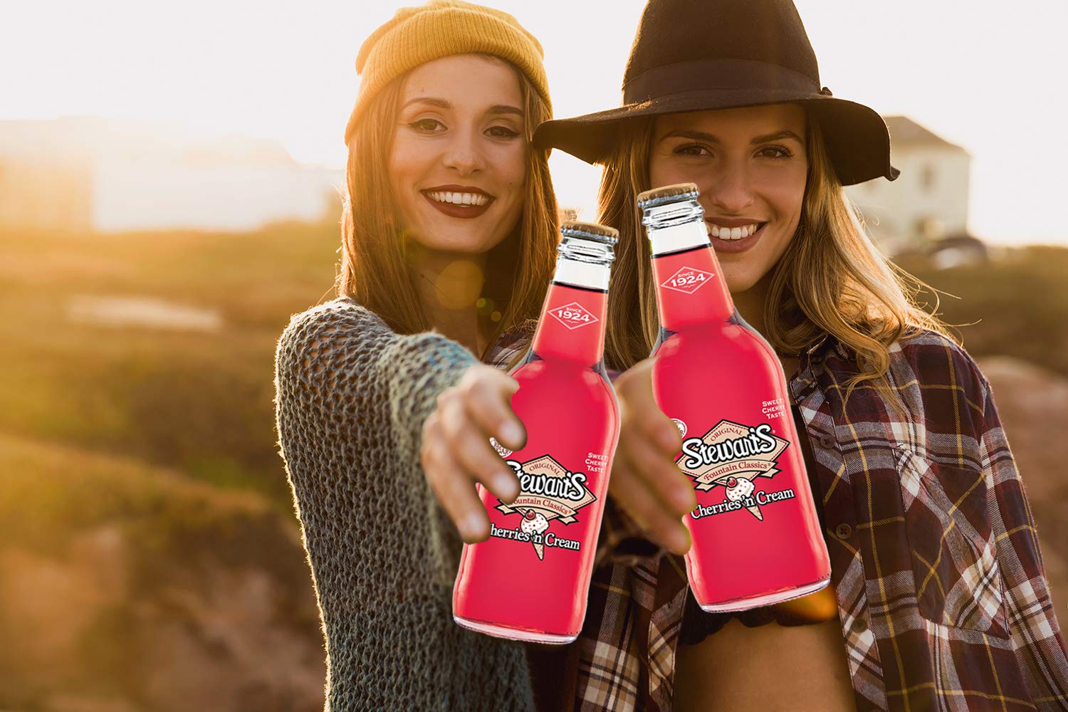 Amazon.com: Stewart's Cherries & Cream Soda, 12 fl oz (24 Glass