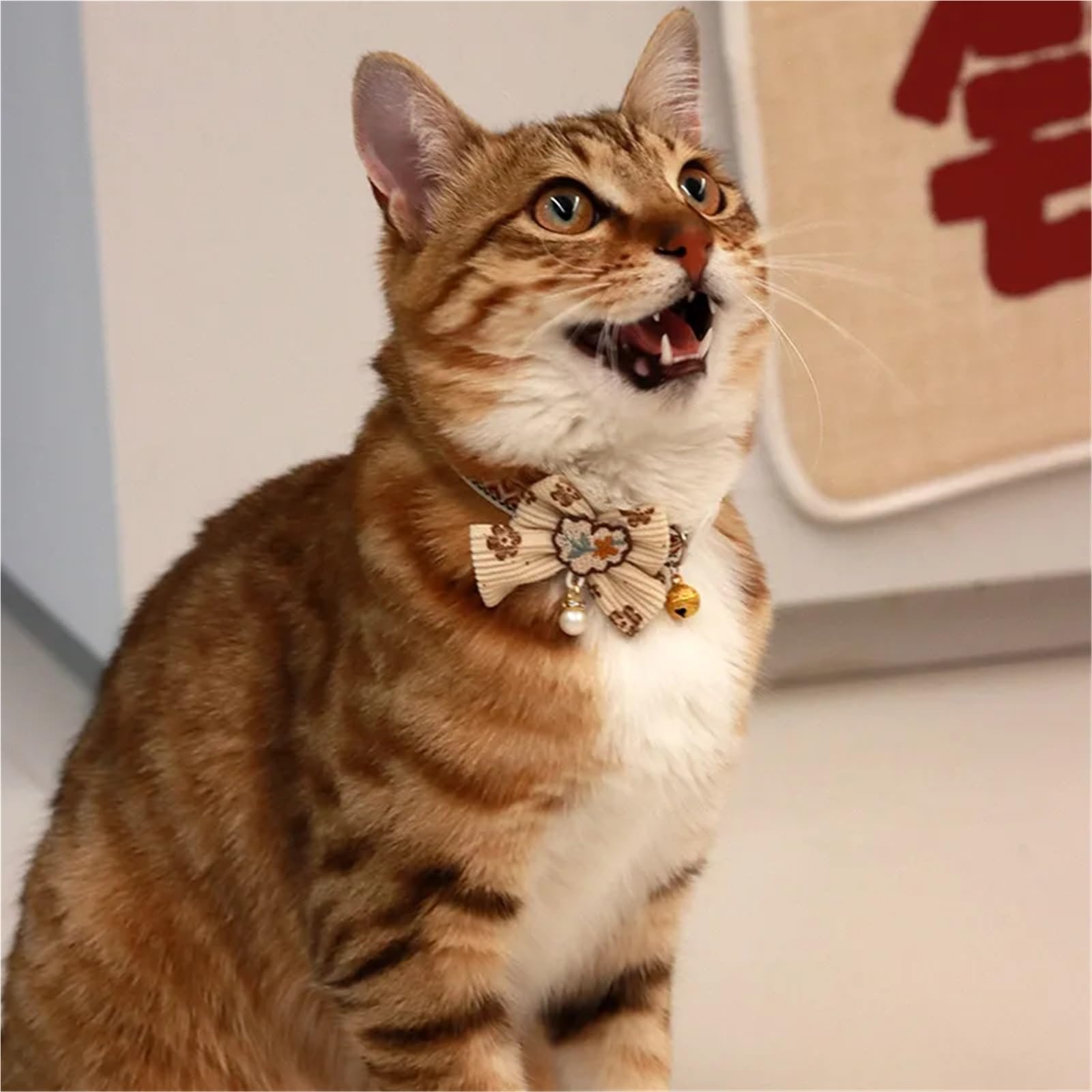 Sicheres Katzenhalsband mit Glöckchen, Fliege, abreißbarem Sicherheitsverschluss, Haustierzubehör, Spitzen-Kätzchen-Halskette for Katzen, Welpen, kleine Hunde(Color1)