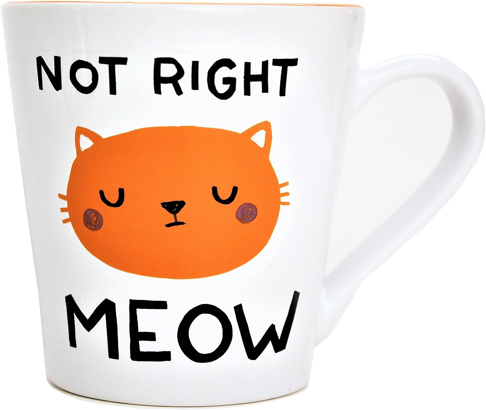 18oz Funny Pun Mug - Not Right Meow