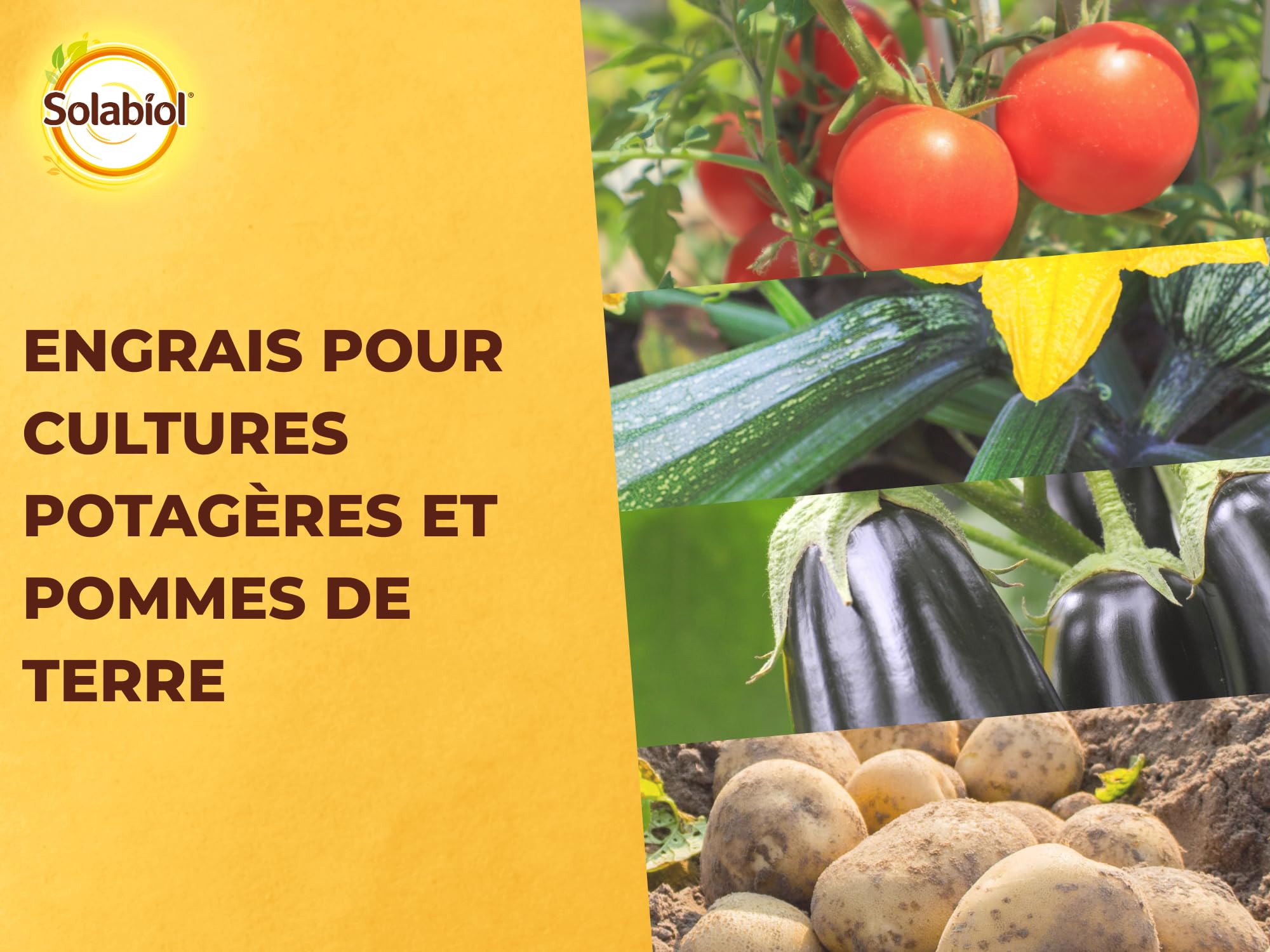 SOLABIOL Engrais Potager - 5Kg - Jusqu'à 100m² - Nutrition Longue Durée - Efficace Pour Tous Les Légumes - Bonifie Le Sol - Utilisable En Agriculture Biologique SOPOTY5B