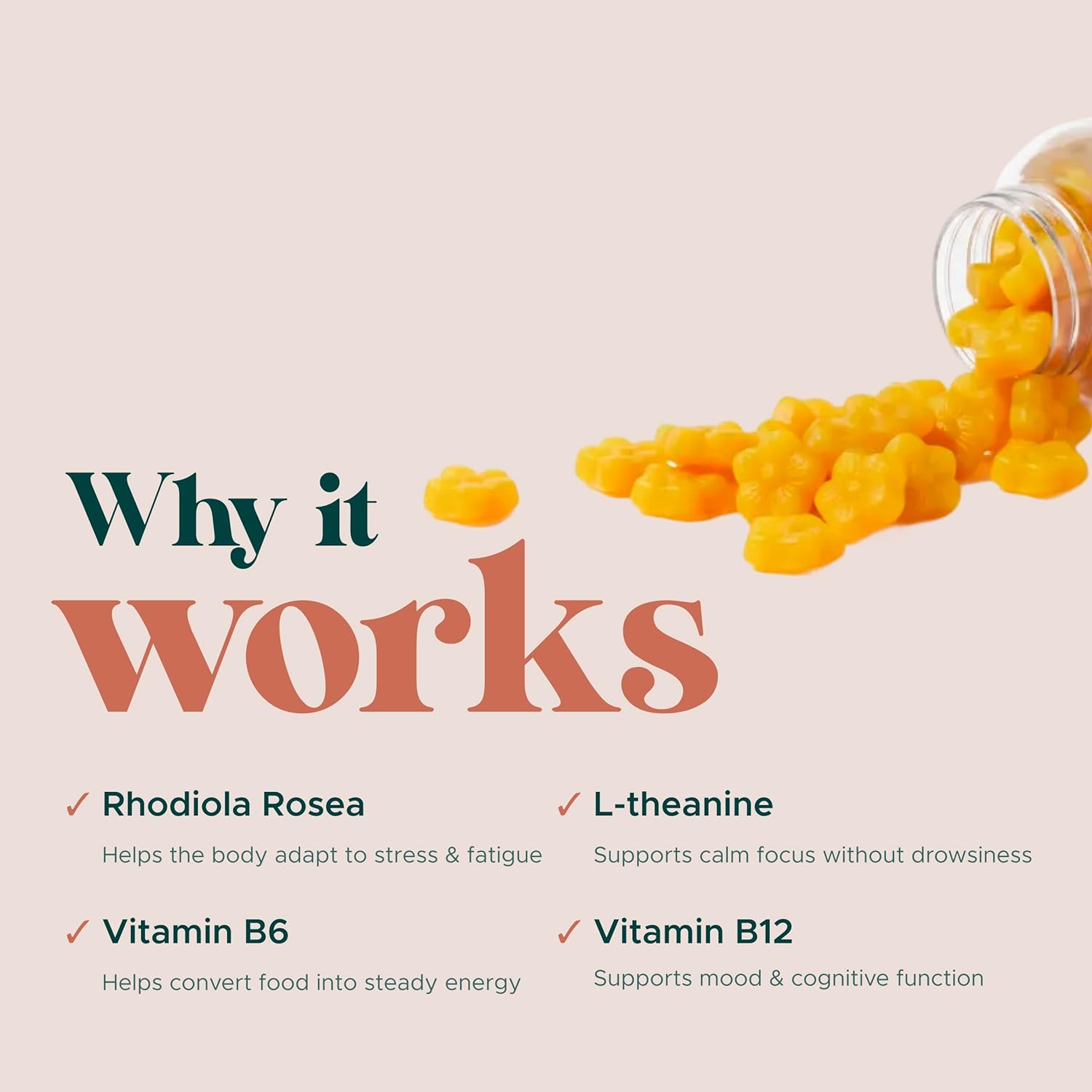 MAKE TIME Women's Rhodiola Gummies for Brain Health and Stress | Maltitol Solution, Isomalt, Pectin, Citric Acid, Sodium Citrate, Vegetable Oil, Carnauba Wax (30 Servings)