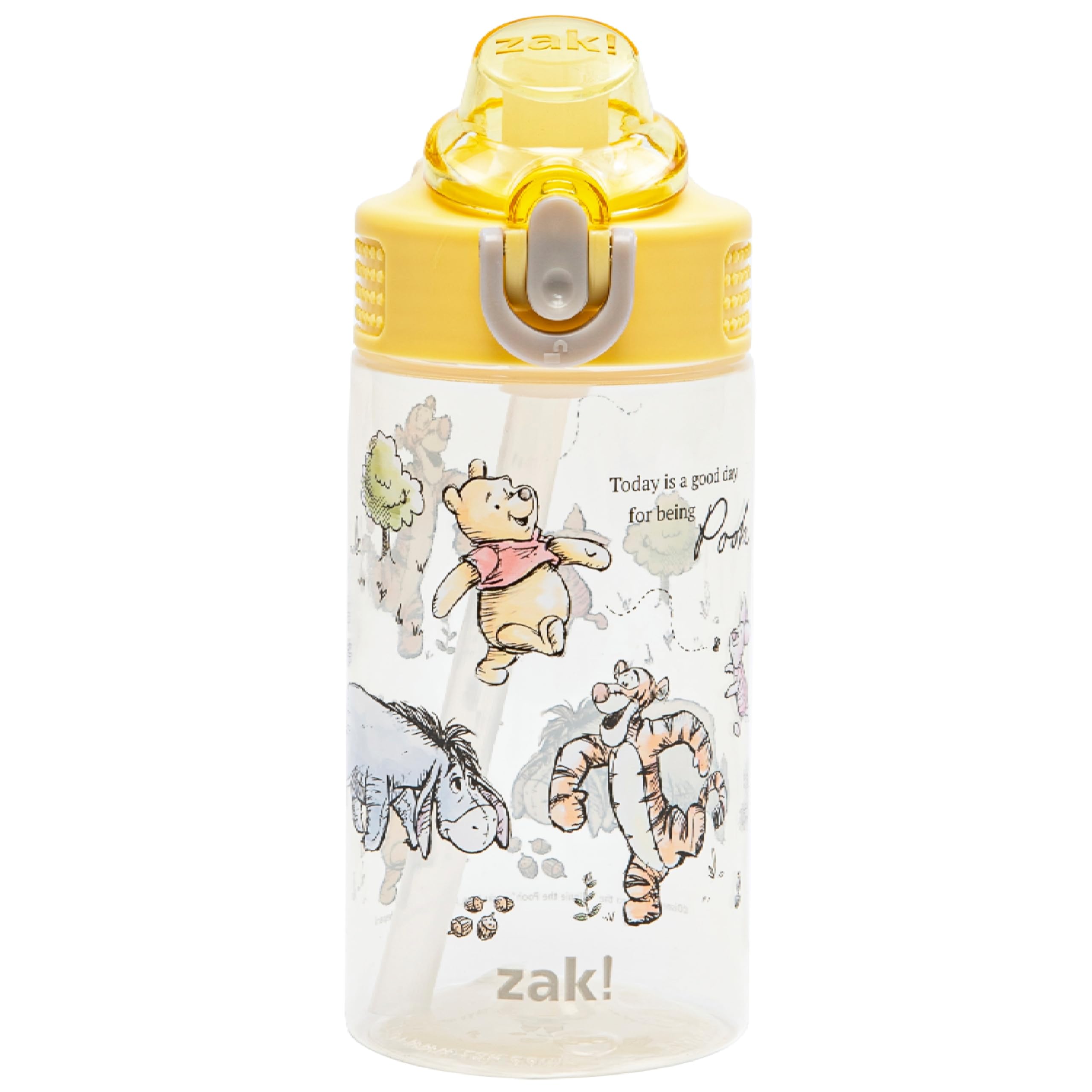 Zak Designs Disney Winnie the Pooh Sage Kids Water Bottle For School or Travel, 16oz Durable Plastic Water Bottle With Straw, Handle, and Leak-Proof, Pop-Up Spout Cover (Winnie the Pooh & Friends)