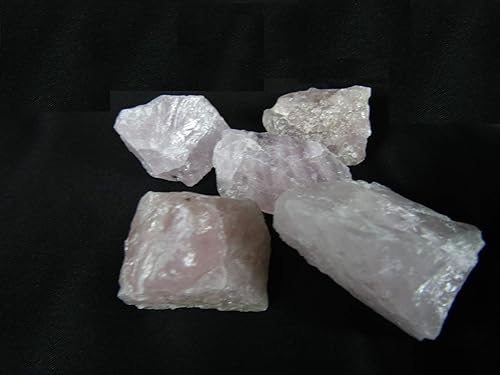 Miniatura 2 de CircuitOffice 5 piezas de cuarzo rosa en bruto (1" - 2"), cristal curativo natural crudo para cabbing, pulir, lapidario, pulido, curación de reiki,